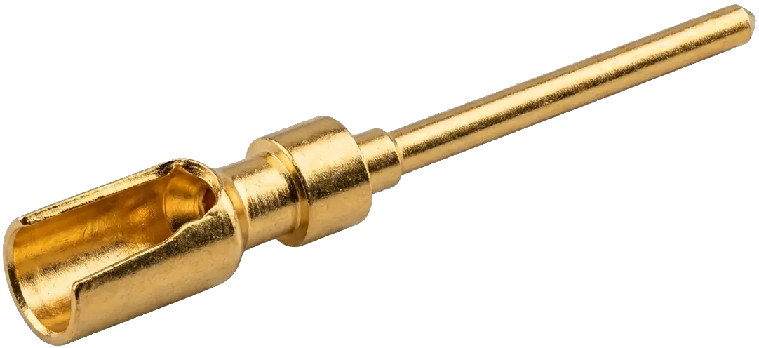 Dynamic Content Image
